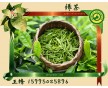 長期供應(yīng)綠茶香味納米膠囊