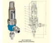 A61Y帶焊接管安全閥