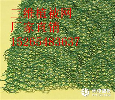 隴南三維植被網(wǎng)供應(yīng)商15265483637